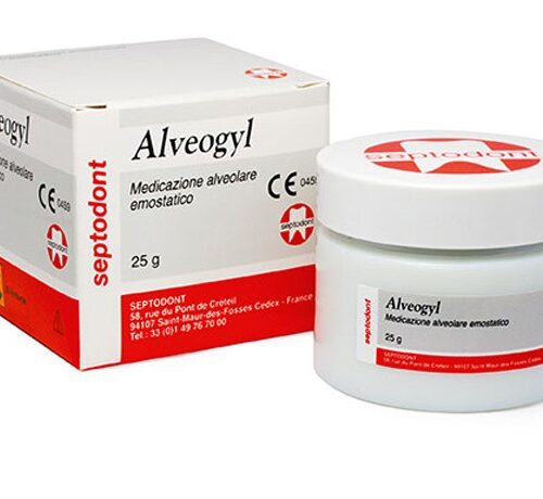 ALVEOGYL PASTA 10G
